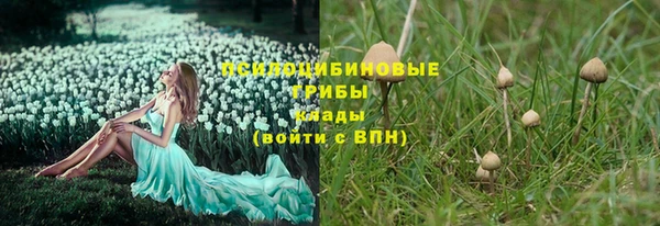 spice Михайловка