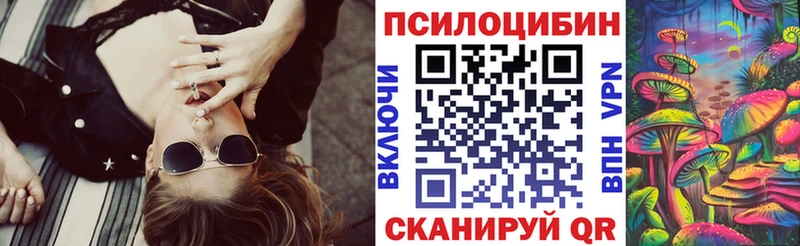 даркнет наркотические препараты  Сельцо  Галлюциногенные грибы Psilocybe 